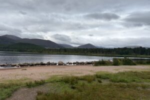 IMG_3458